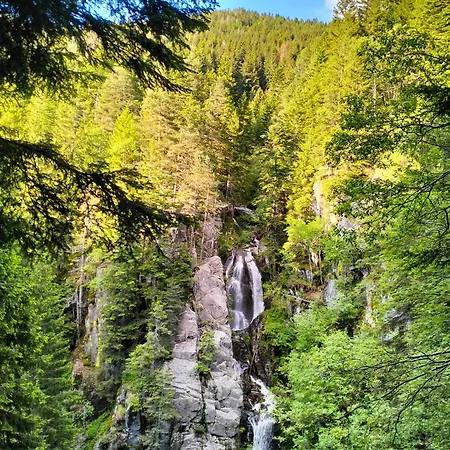 Malga Pontara ホステル